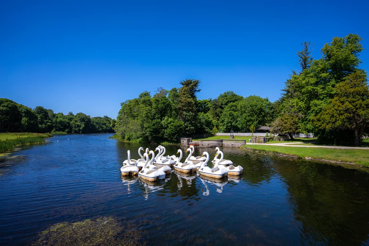No trip to Westport Estate is complete without a trip on the iconic Swan Pedalos!