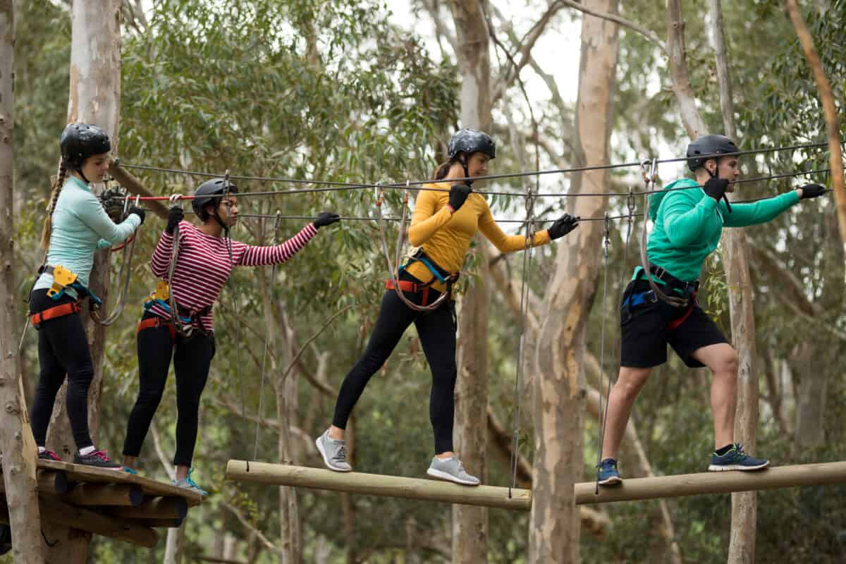 Team building days at an outdoor adventure park promote shared challenges and activities, creating stronger bonds among colleagues, fostering a cohesive work environment.