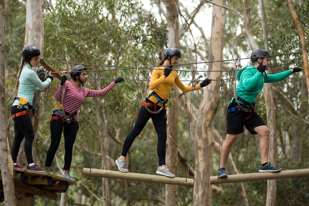 Team building days at an outdoor adventure park promote shared challenges and activities, creating stronger bonds among colleagues, fostering a cohesive work environment.