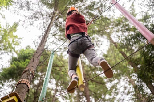 New adventure park opening in Mayo, featuring Ireland's largest Net Park at Westport Estate.